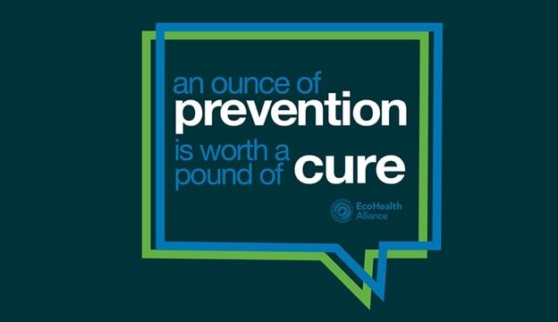 image-e8db09a44b1f0bb48092631fcff1cb99e73f5d23-624x360-jpg