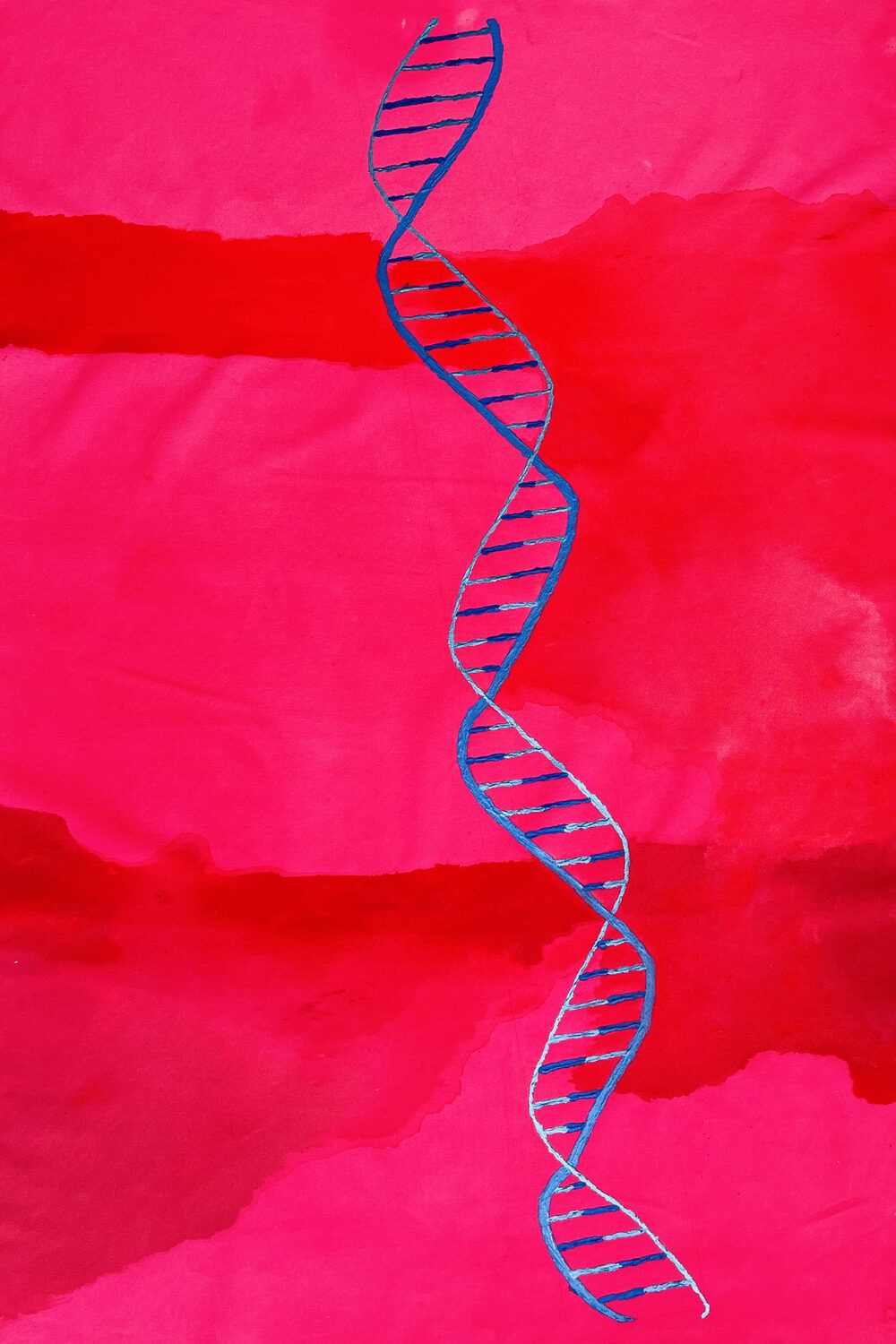 The Limitations of DNA I