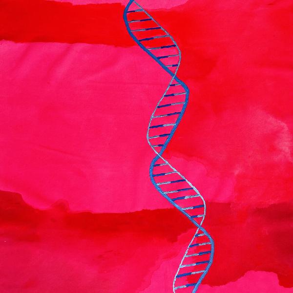 The Limitations of DNA I