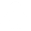 icon of Vogent