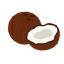 icon of Coconuts AI