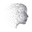 icon of Setter AI