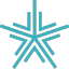 icon of XXAI