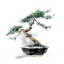 icon of Coauthor