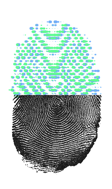 fingerprint graphic