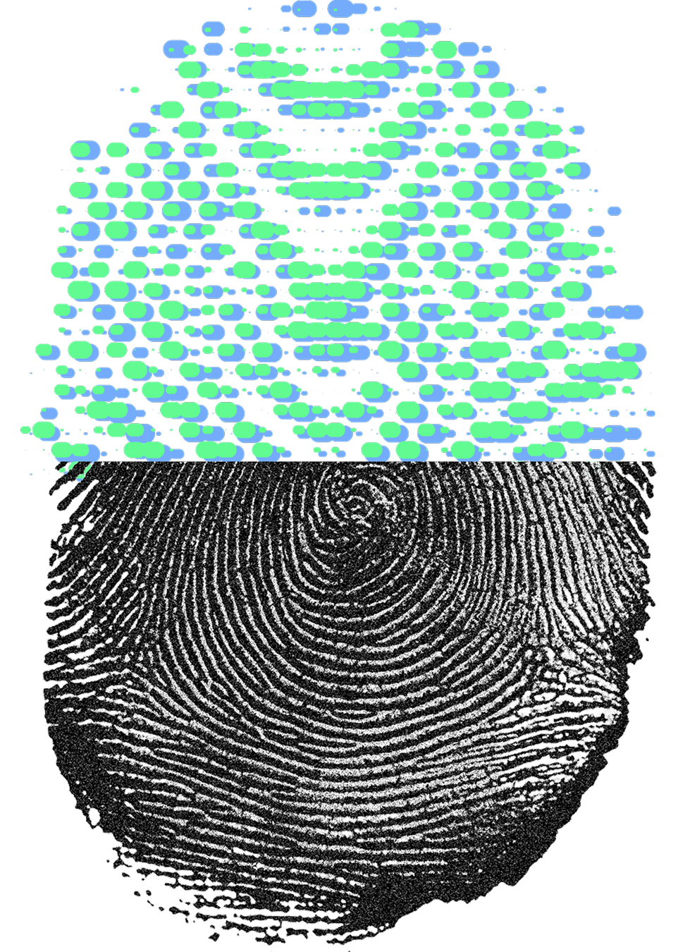 Fingerprint