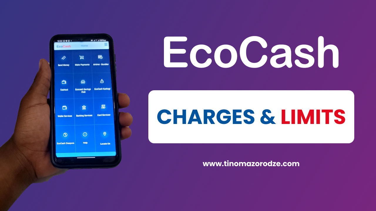 Latest Ecocash USD and ZiG Charges in 2024
