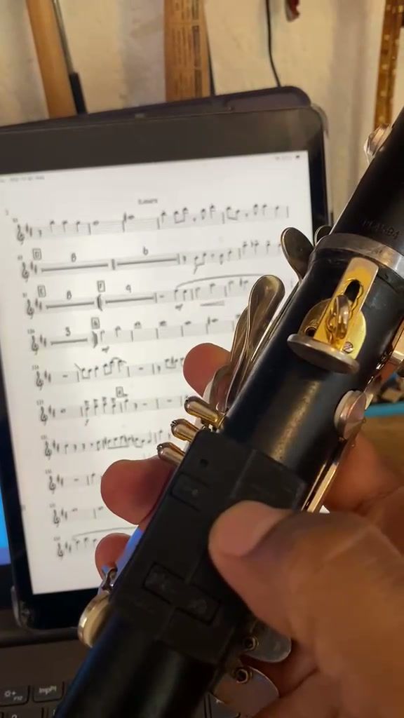 NoteTurner for ForScore view 13