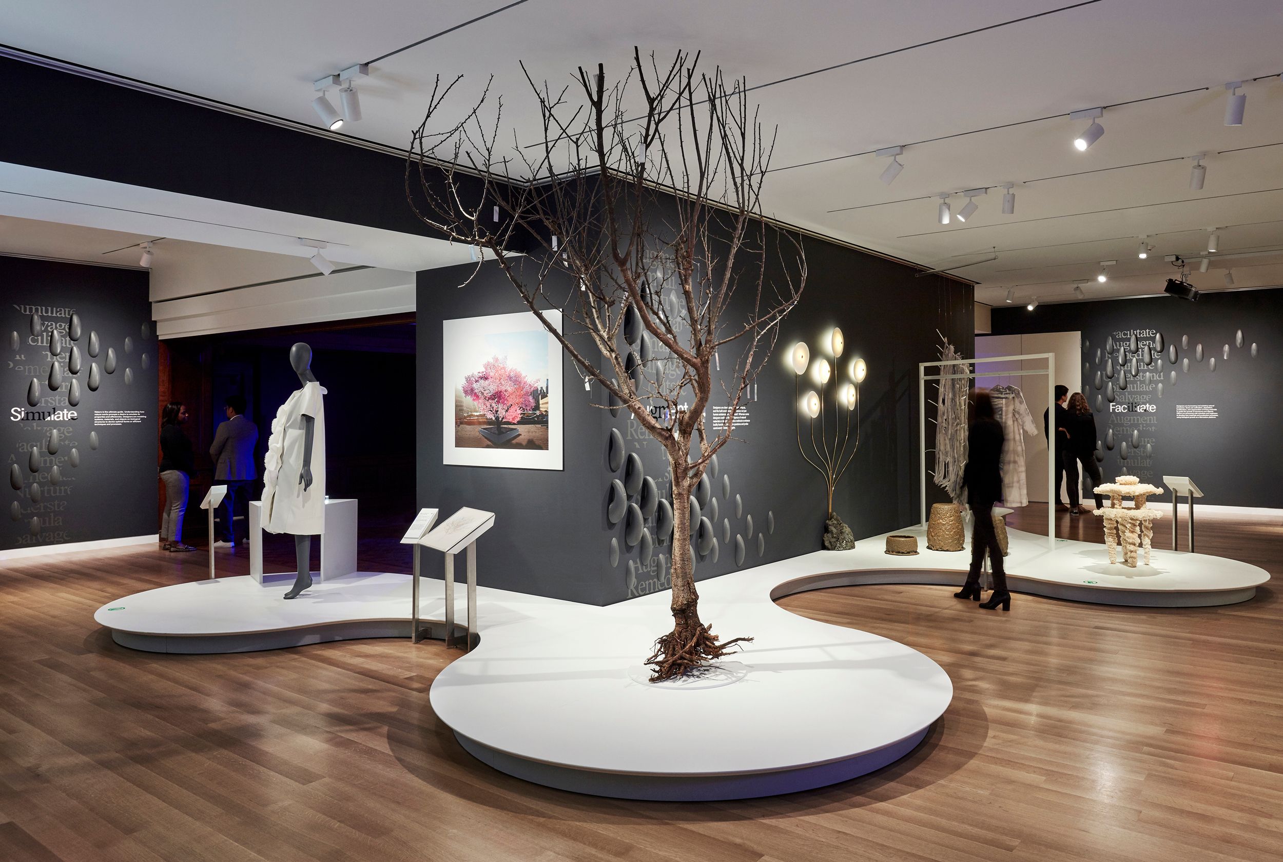 Design Triennial: Nature | Exhibition by Studio Joseph