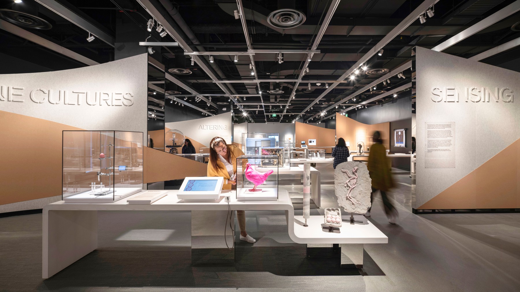MIT Museum | Exhibitions by Studio Joseph