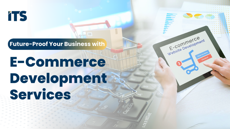 Future‑Proof Your Business with E‑Commerce Development Services