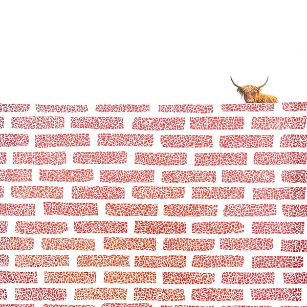 Neighbor (Highland Cow)