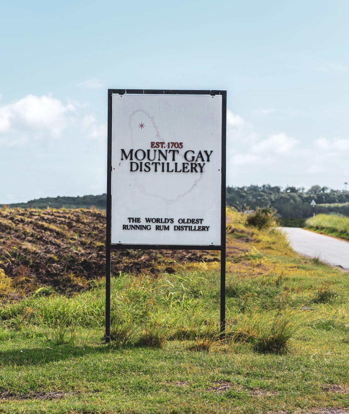 Roadside sign reading Est. 1703 Mount Gay Distillery, the world's oldest running rum distillery, beside a field in Barbados