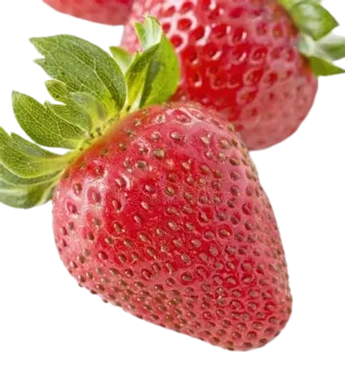 Fresh Strawberry