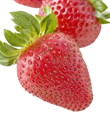 Fresh Strawberry