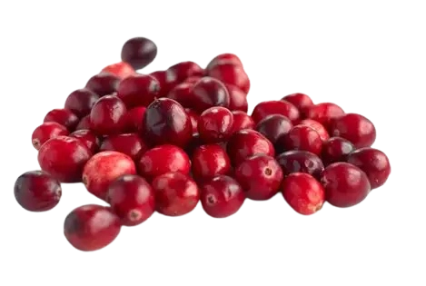 Fresh Cranberry Juice