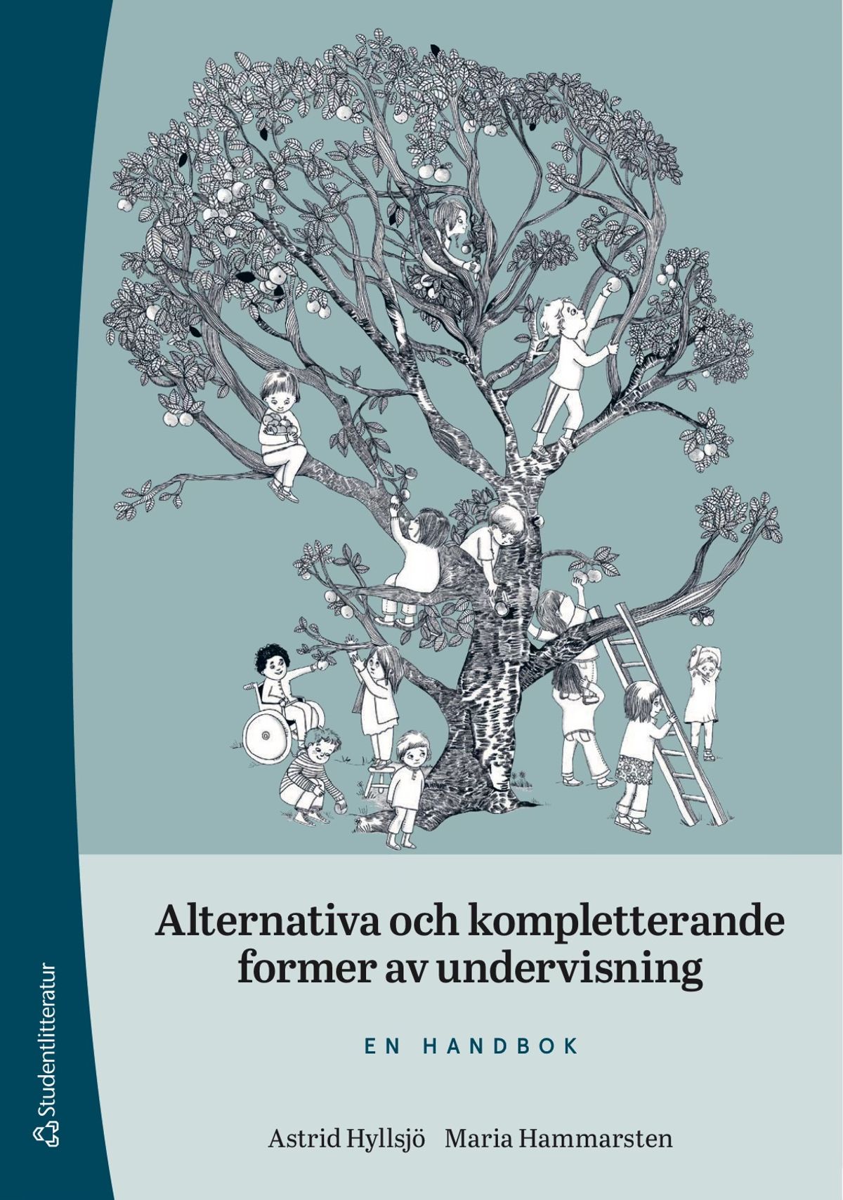Alternativa och kompletterande former av undervisning