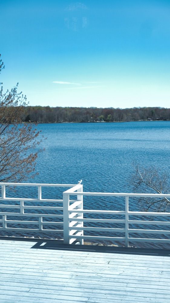 View of the lake and tree line from the deck on a clear day