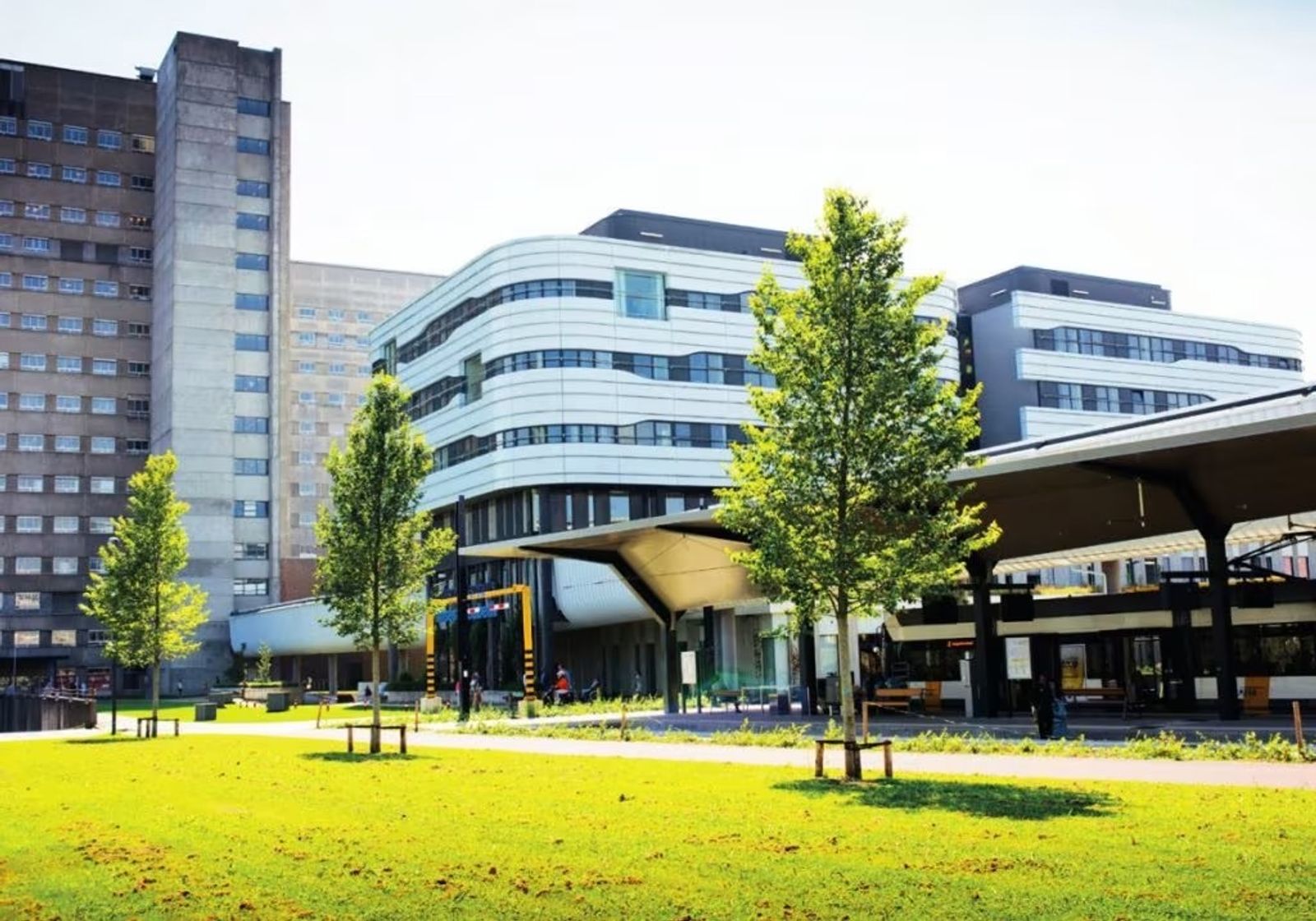 Campus van UZ Gent op een zonnige dag, met moderne ziekenhuisgebouwen achter een grasveld met jonge bomen.