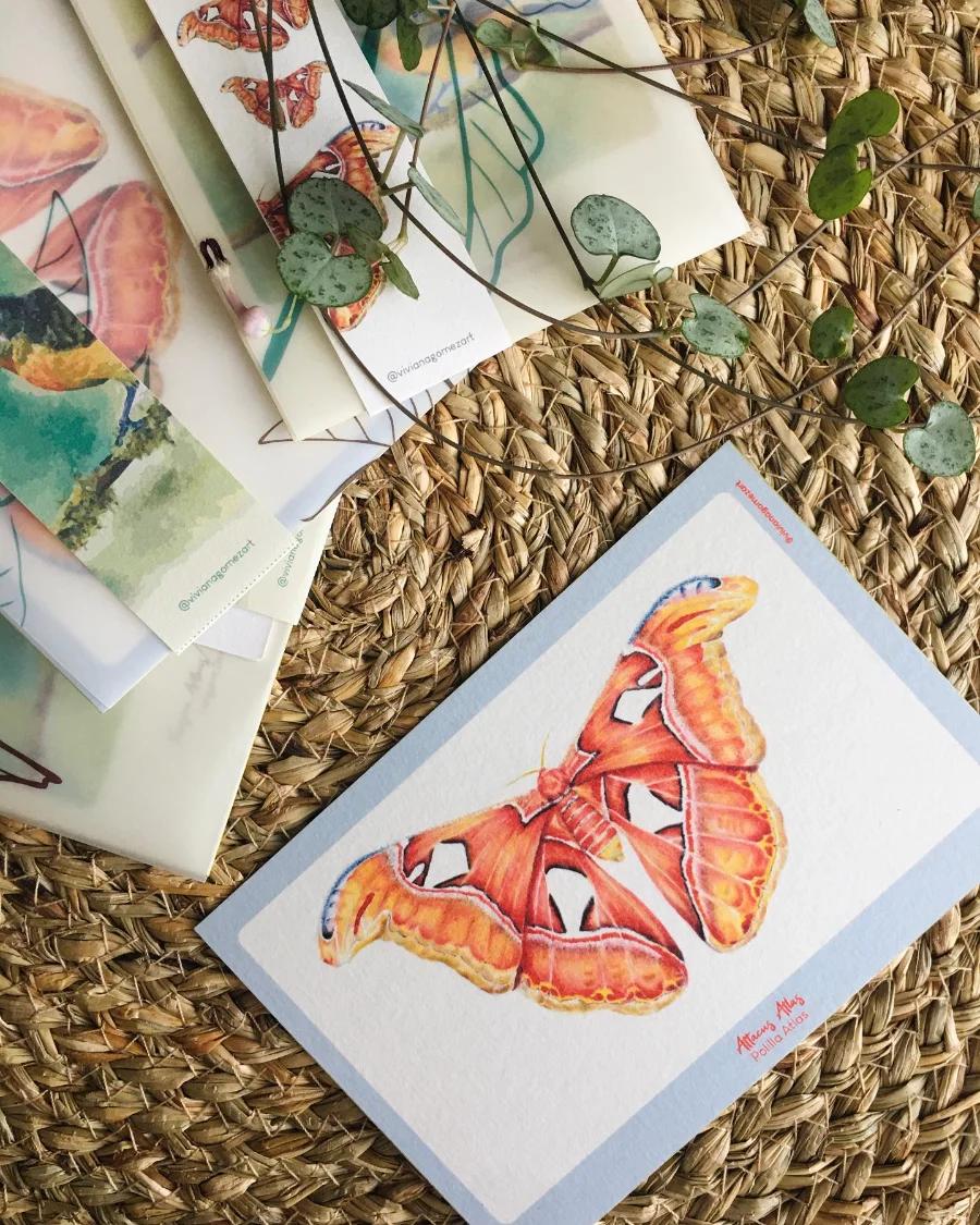 Pack de cuatro postales ilustradas