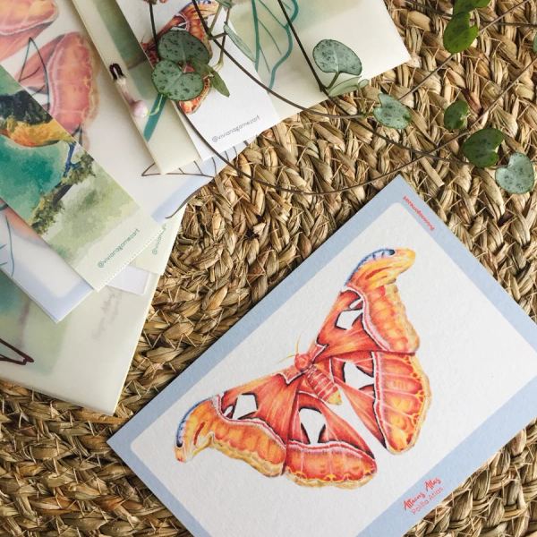 Pack de cuatro postales ilustradas