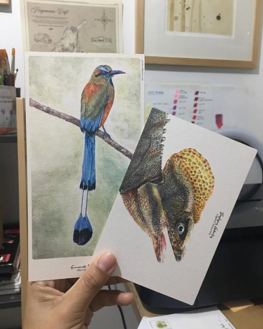 Pack de dos postales ilustradas con stickers