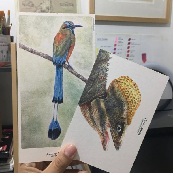 Pack de dos postales ilustradas con stickers
