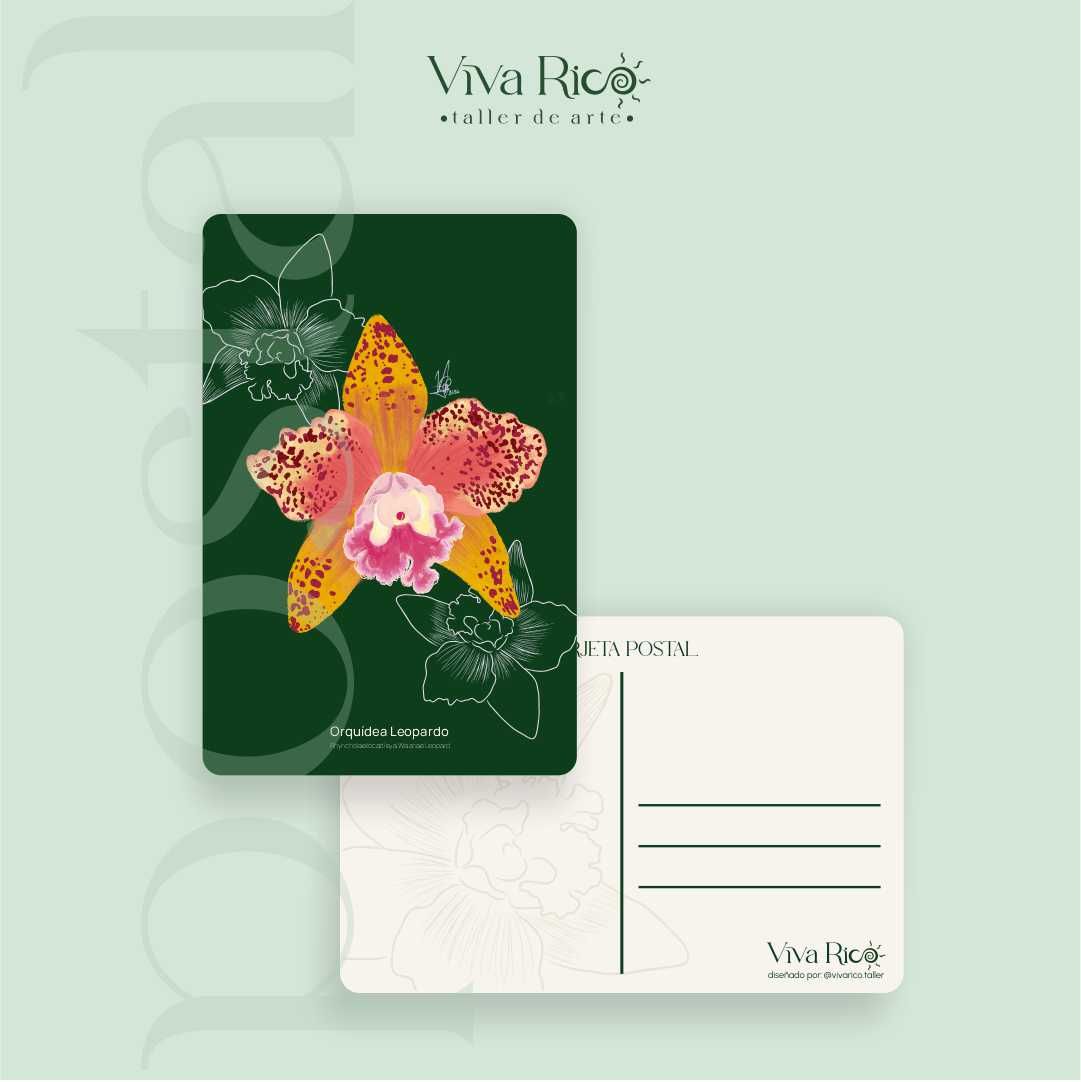 Una orquídea de manchas delicadas y formas inesperadas.
