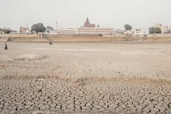 Photo of dried and cracked Hamirsar lake.