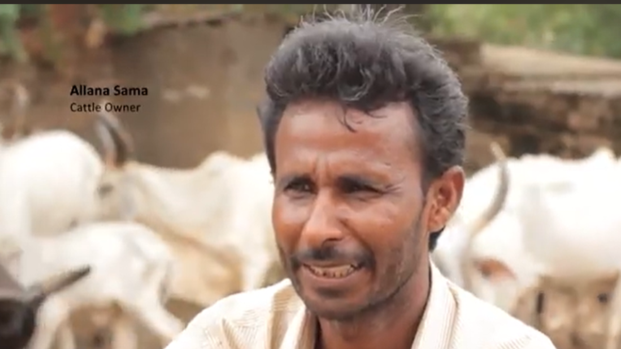 Homes In the City : Solid Waste Management