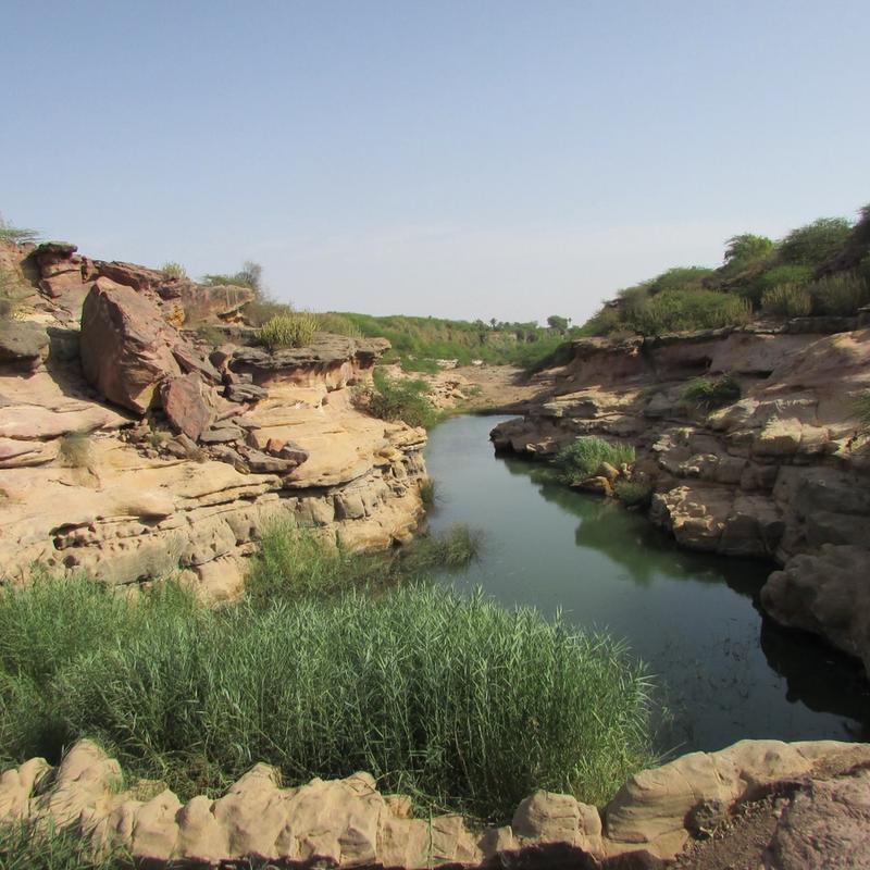 River flowing in a canyon with tufts of grass alongside