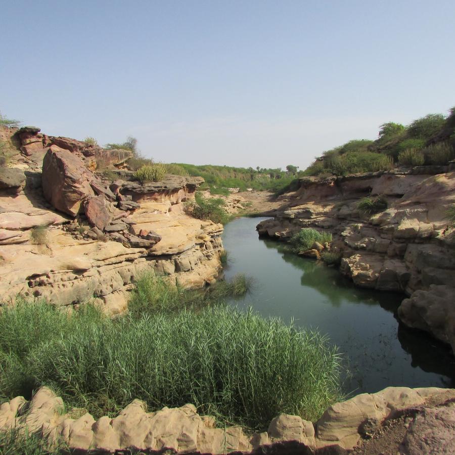 Tufts of grass along a rocky canyon with a river running across