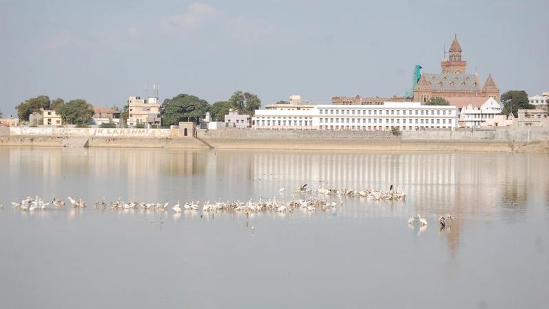 Hamirsar Lake with birds on the water and a view of Prag Mahal and other buildings in the background.