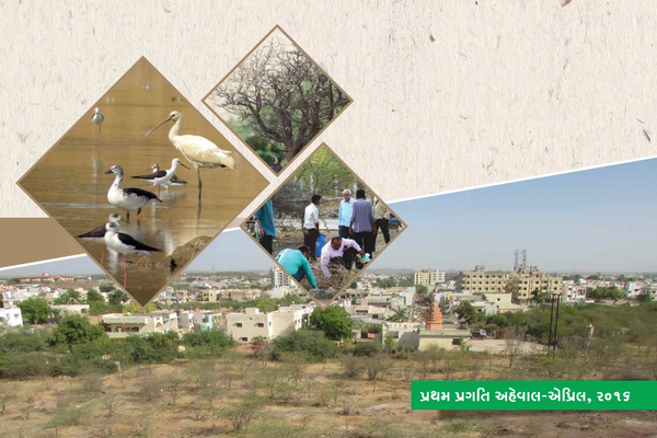 Cover page of publication with images of birds, trees, people, and buildings