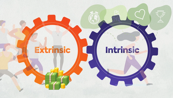 Extrinsic and Intrinsic Rewards
