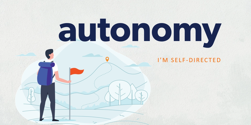 Cover image for Autonomy