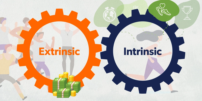 Cover image for Utilizing Intrinsic Motivators