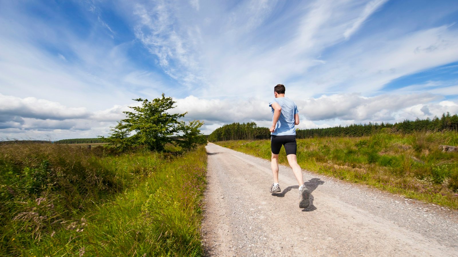 Tasteful hands-on wellbeing session suggesting grounded Reiki and calm support