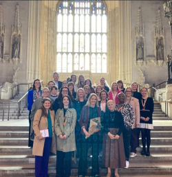 Presenting evidence about loneliness at Westminster research image