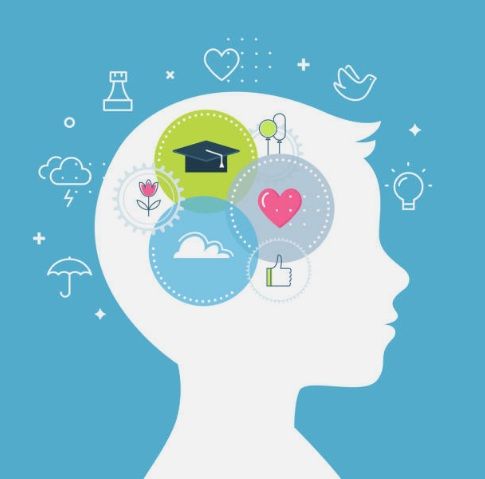 Graphic of student brain health highlighting focus, learning, and emotional wellness to support smarter studying.