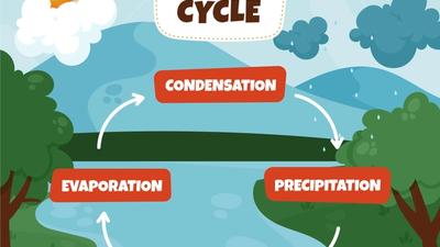PSLE Science: Water Cycle and Weather