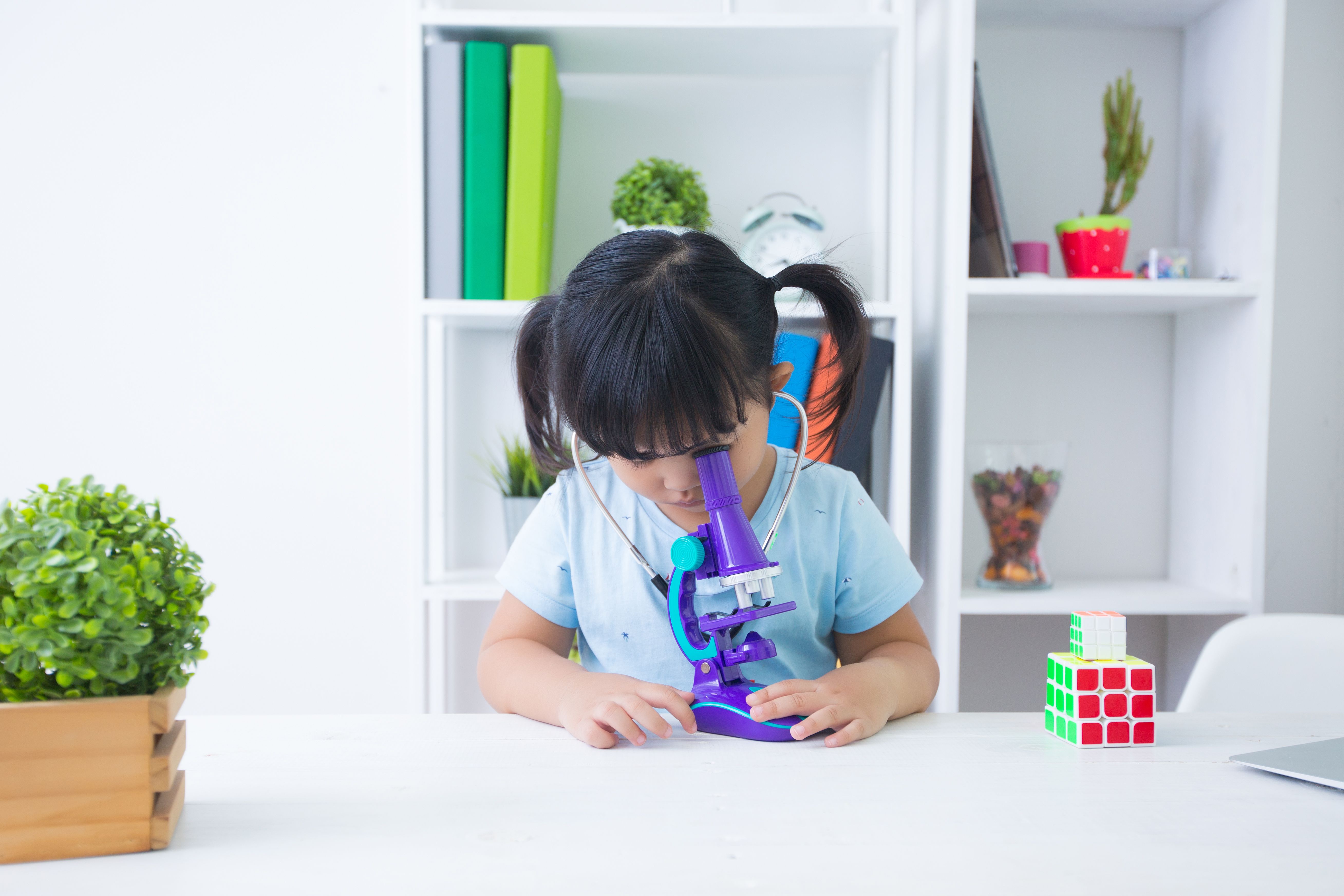 PSLE Synthesis & Transformation: Rules + Worked Examples