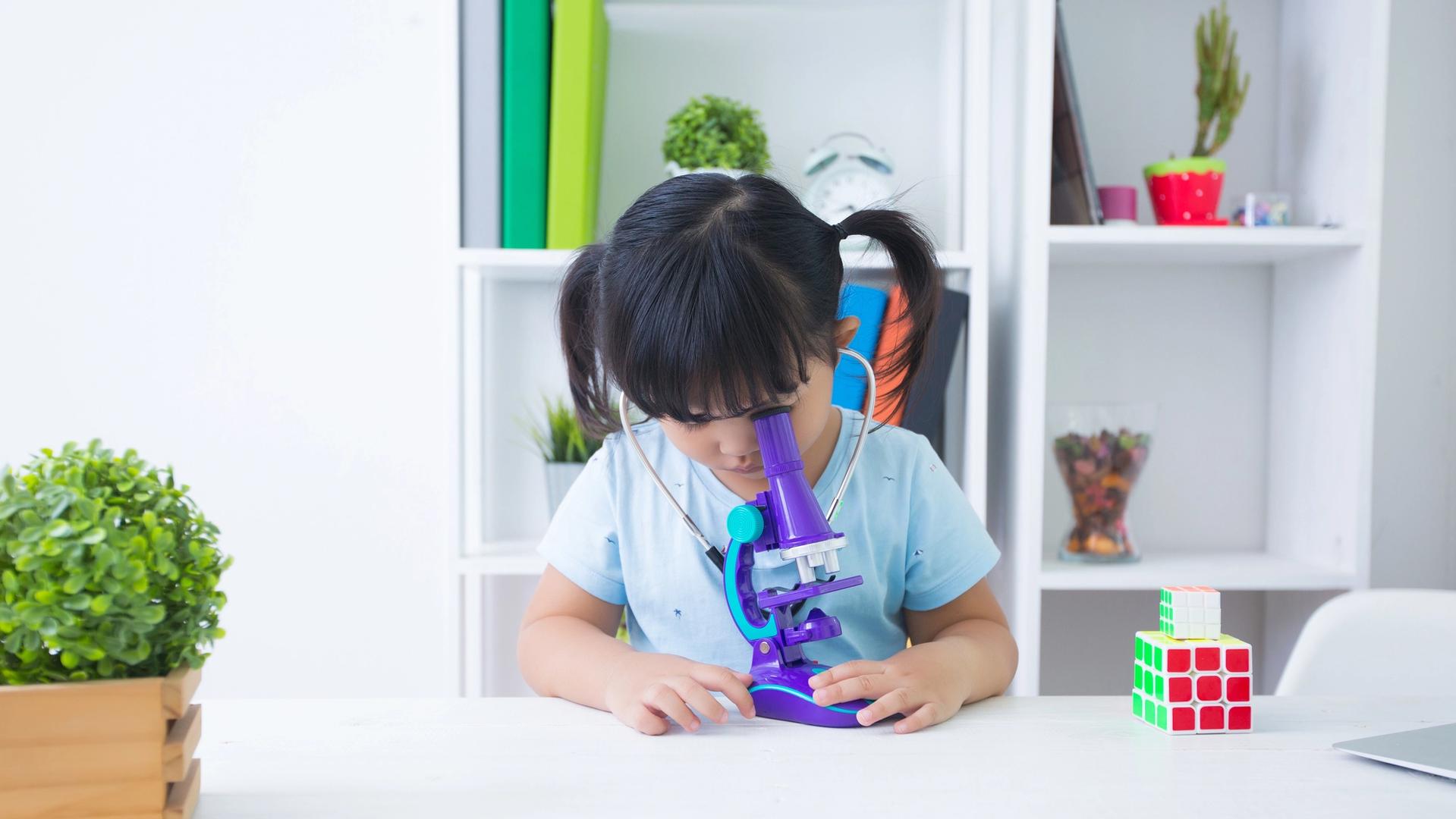 Parent helping a child revise PSLE synthesis and transformation rules at home