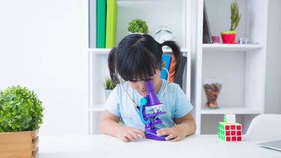 PSLE Synthesis & Transformation: Rules + Worked Examples