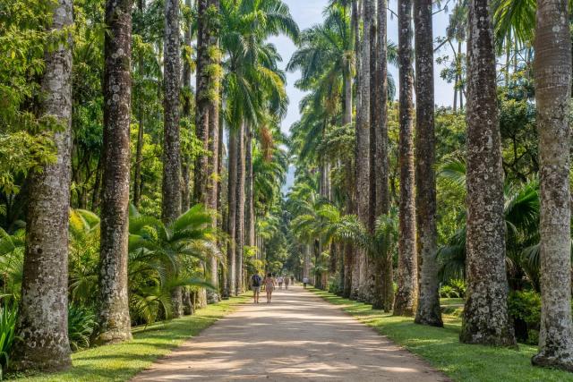 Jardim Botânico: ein Nachmittag unter Palmen