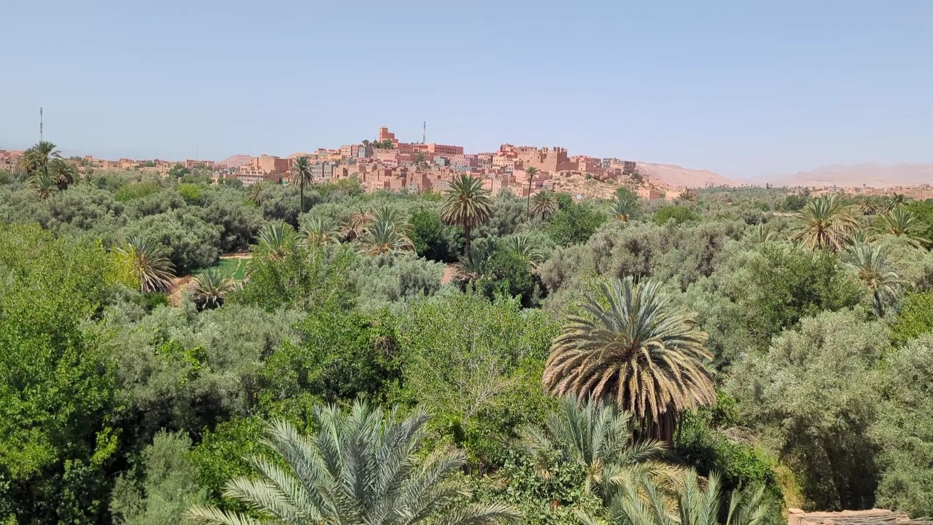 Palmeraie de Tinghir