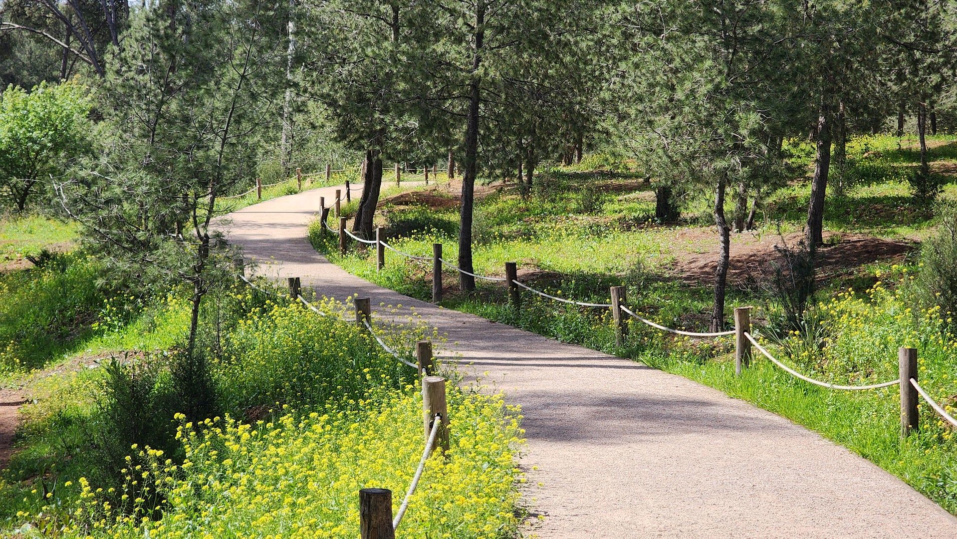 Forêt d'Ain Chkef