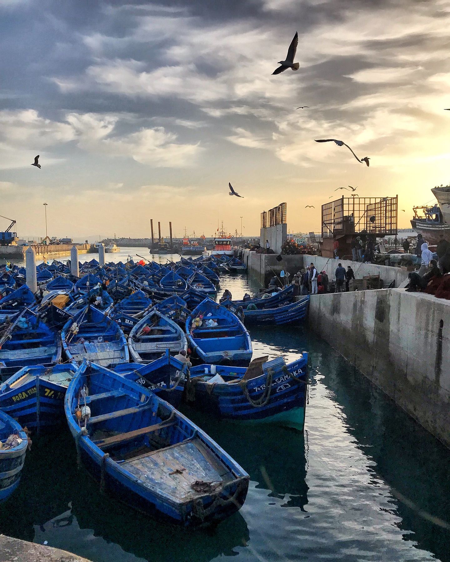 Port d'Essaouira - View 3