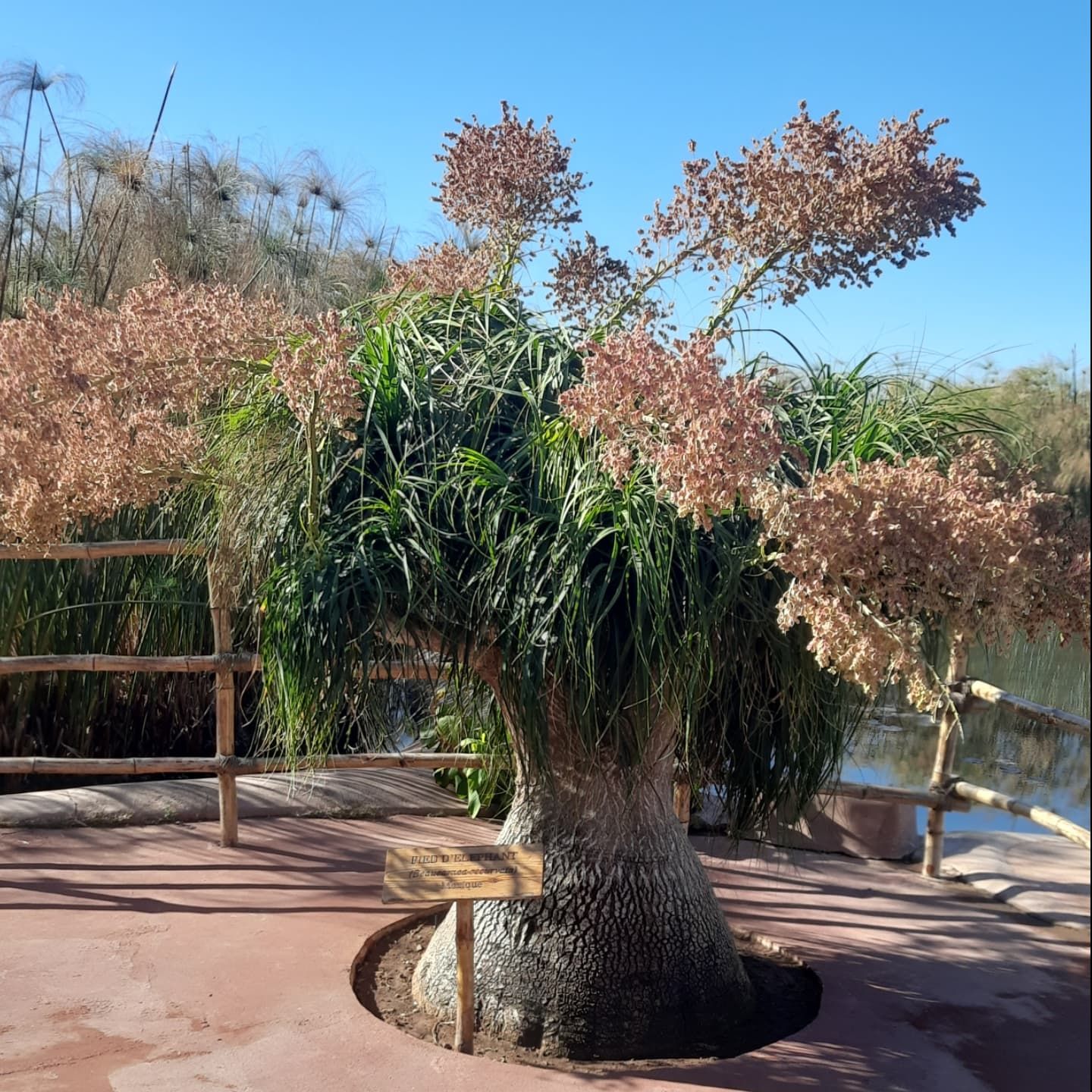 Crocoparc - View 3