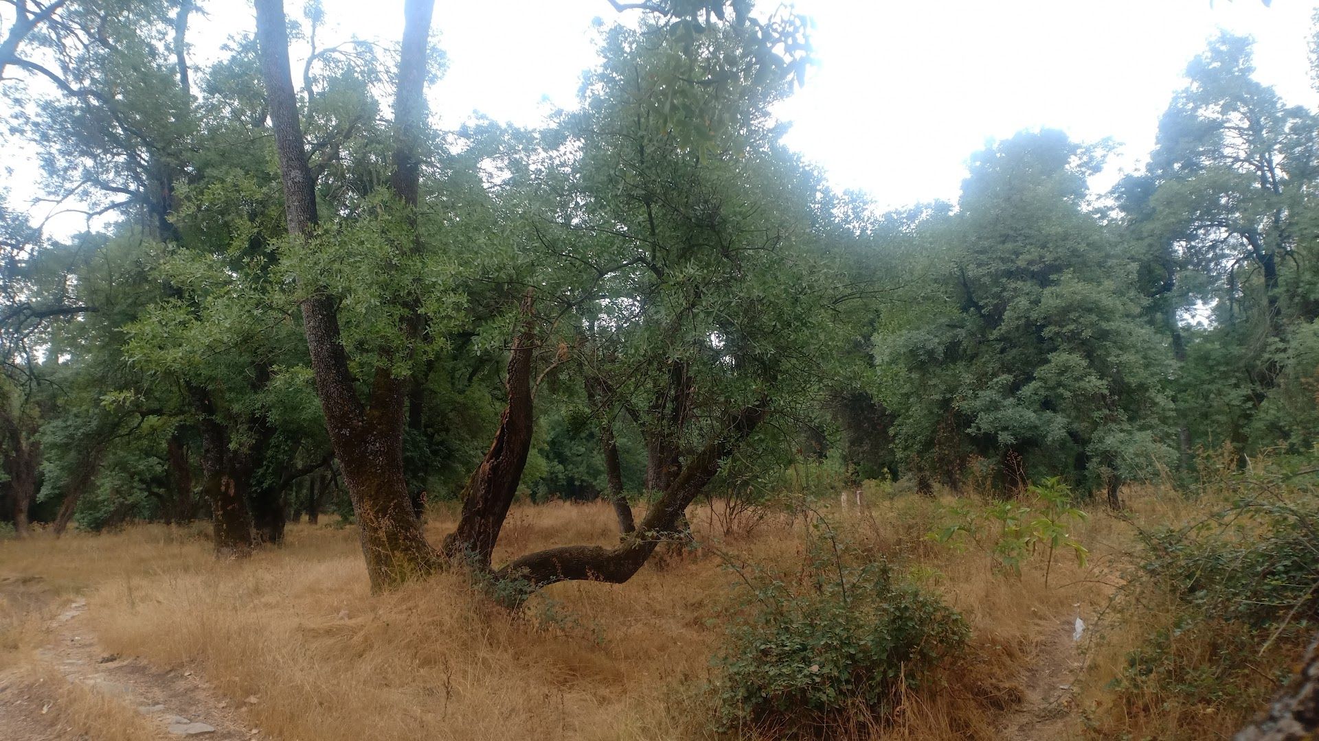 Le Val d'Ifrane - View 2